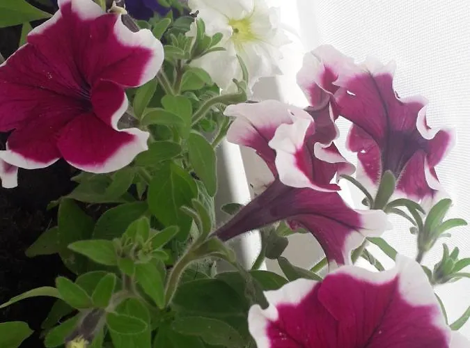 Lägenhet Kutak- Stan Na Dan *