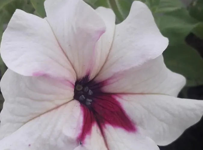 Kutak- Stan Na Dan Paraćin